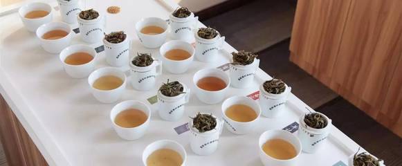 學(xué)會(huì)審評(píng)，方懂茶味——探索茶文化中的品鑒之道